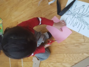 Preschooler Fine Motor Skills at Work
