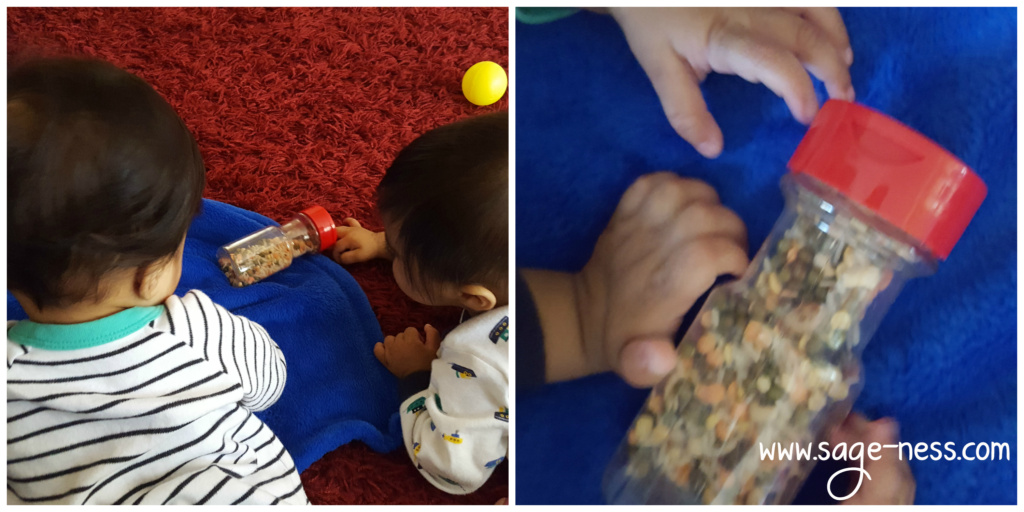 Montessori Inspired India Independence Day activities for Toddlers