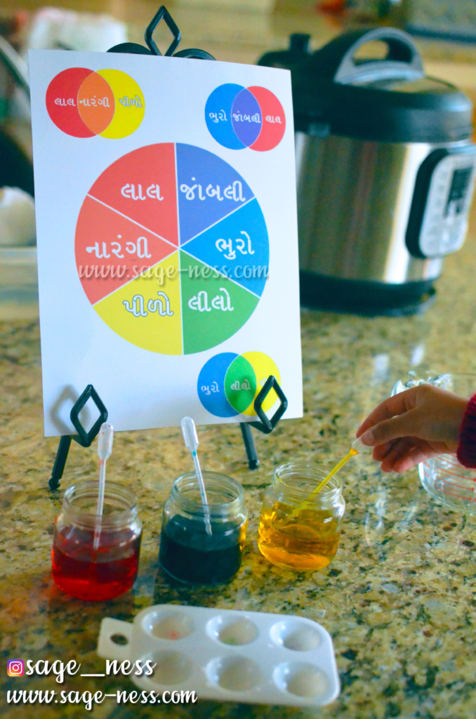 Gujarati Color Wheel -Montessori Inspired Holi Activity