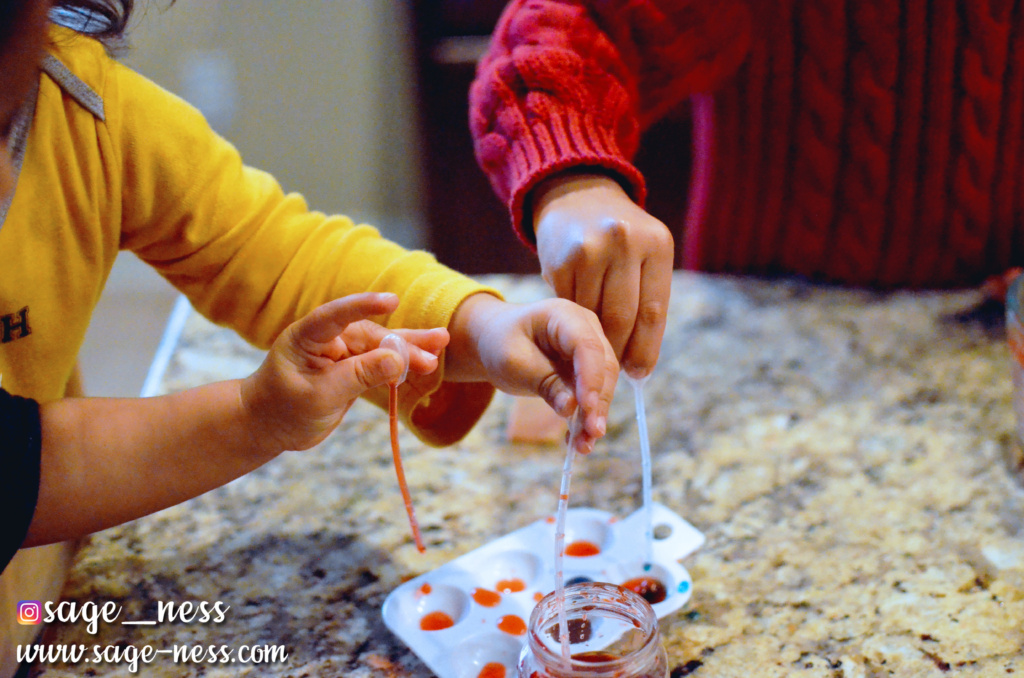 Gujarati Color Wheel -Montessori Inspired Holi Activity