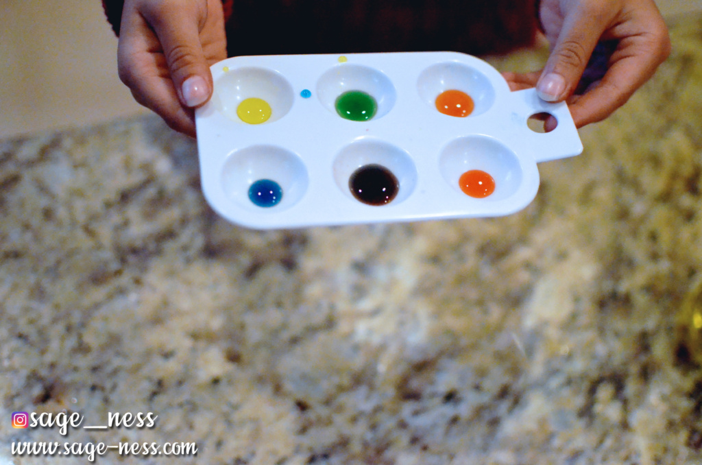 Gujarati Color Wheel -Montessori Inspired Holi Activity